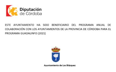 PROGRAMA ANUAL DE COLABORACIÓN CON LOS AYUNTAMIENTOS DE LA PROVINCIA DE CÓRDOBA PARA EL PROGRAMA GUADALINFO