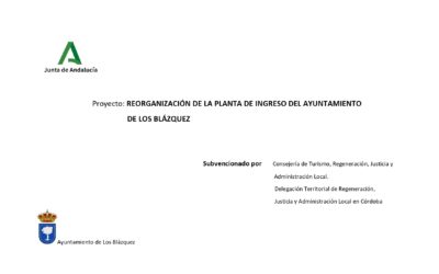 SUBVENCIÓN DESTINADA A LA REALIZACIÓN DE ACTUACIONES EN EDIFICIOS DE TITULARIDAD PÚBLICA, DENTRO DEL ÁMBITO DEL PLAN DE COOPERACIÓN MUNICIPAL. AÑO 2021